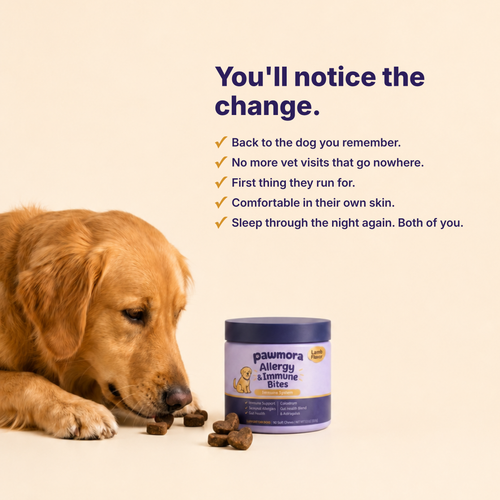 Allergy & Immune Chews