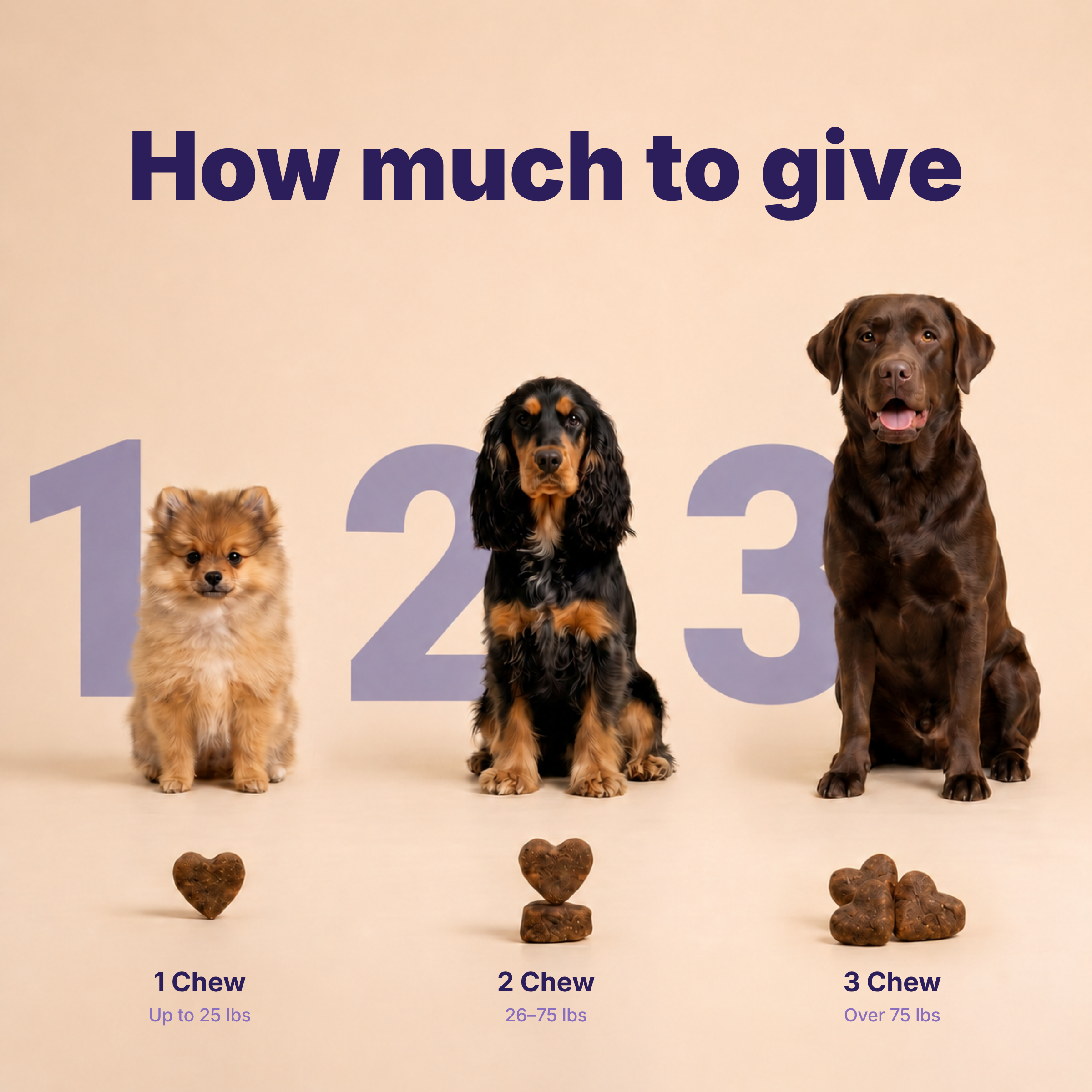 Allergy & Immune Chews